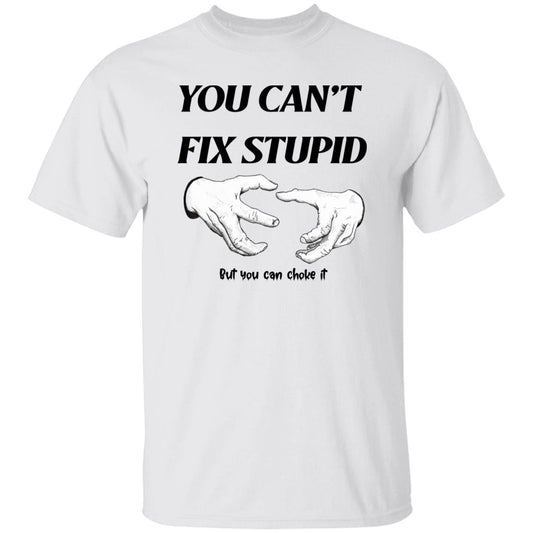 You Can't Fix Stupid...