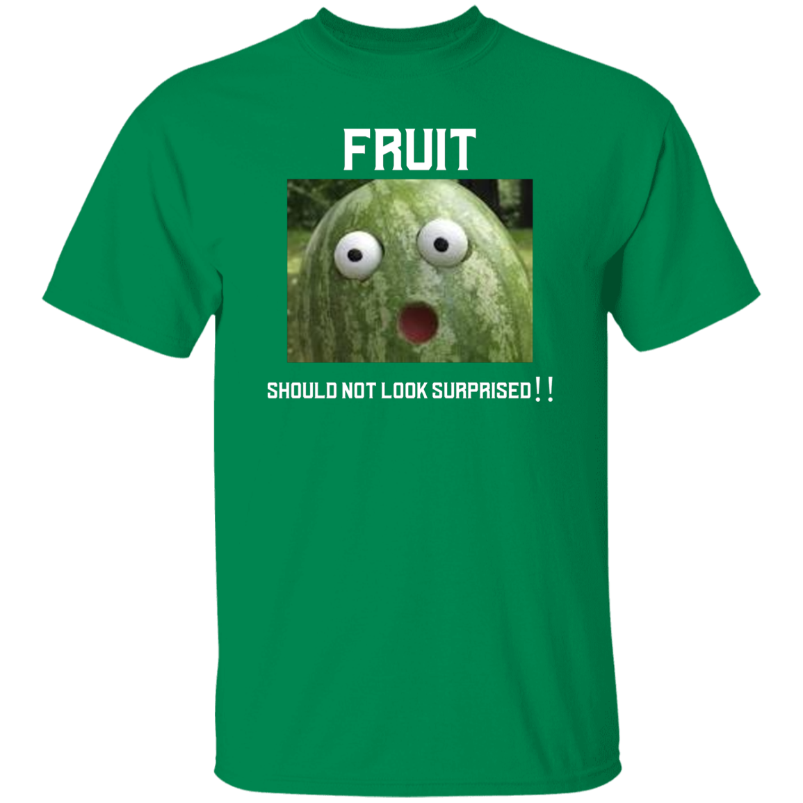 FSNLS T-Shirt